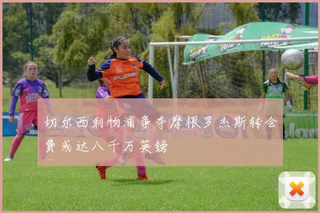 切尔西利物浦争夺摩根罗杰斯转会费或达八千万英镑
